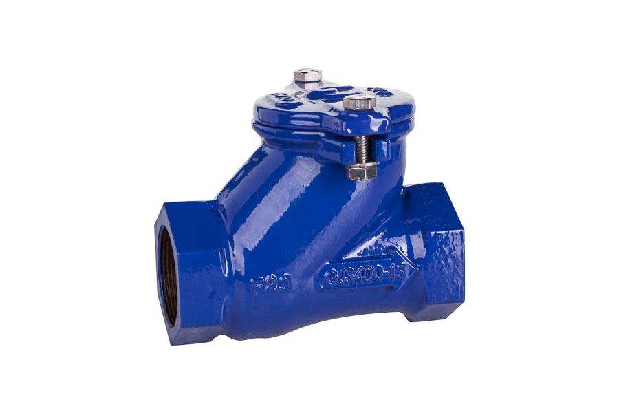 Check valve - flange type, GG-25/NBR/brass